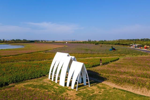 对于固城湖水慢城我并不陌生,自2015年来南京后,几乎每年都会到这里逛