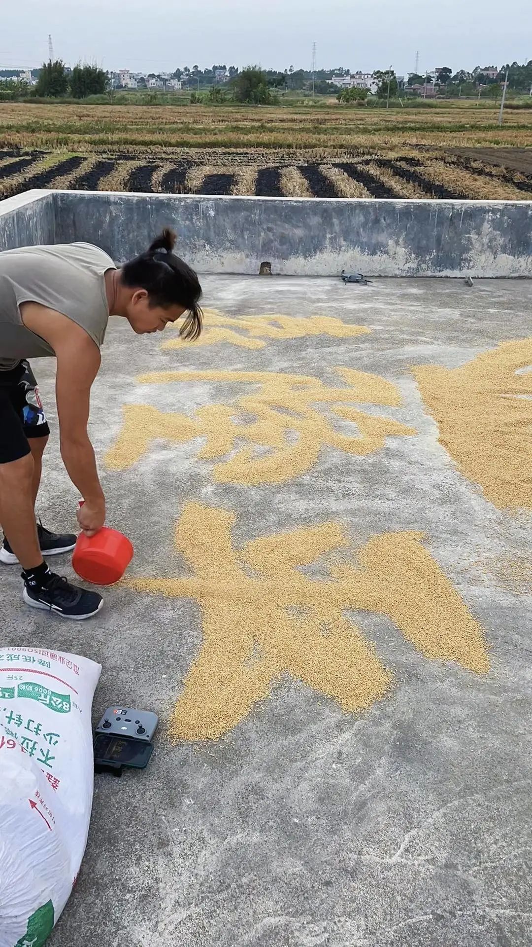 小伙用水稻"画"出袁隆平:这是我作为农民的缅怀方式