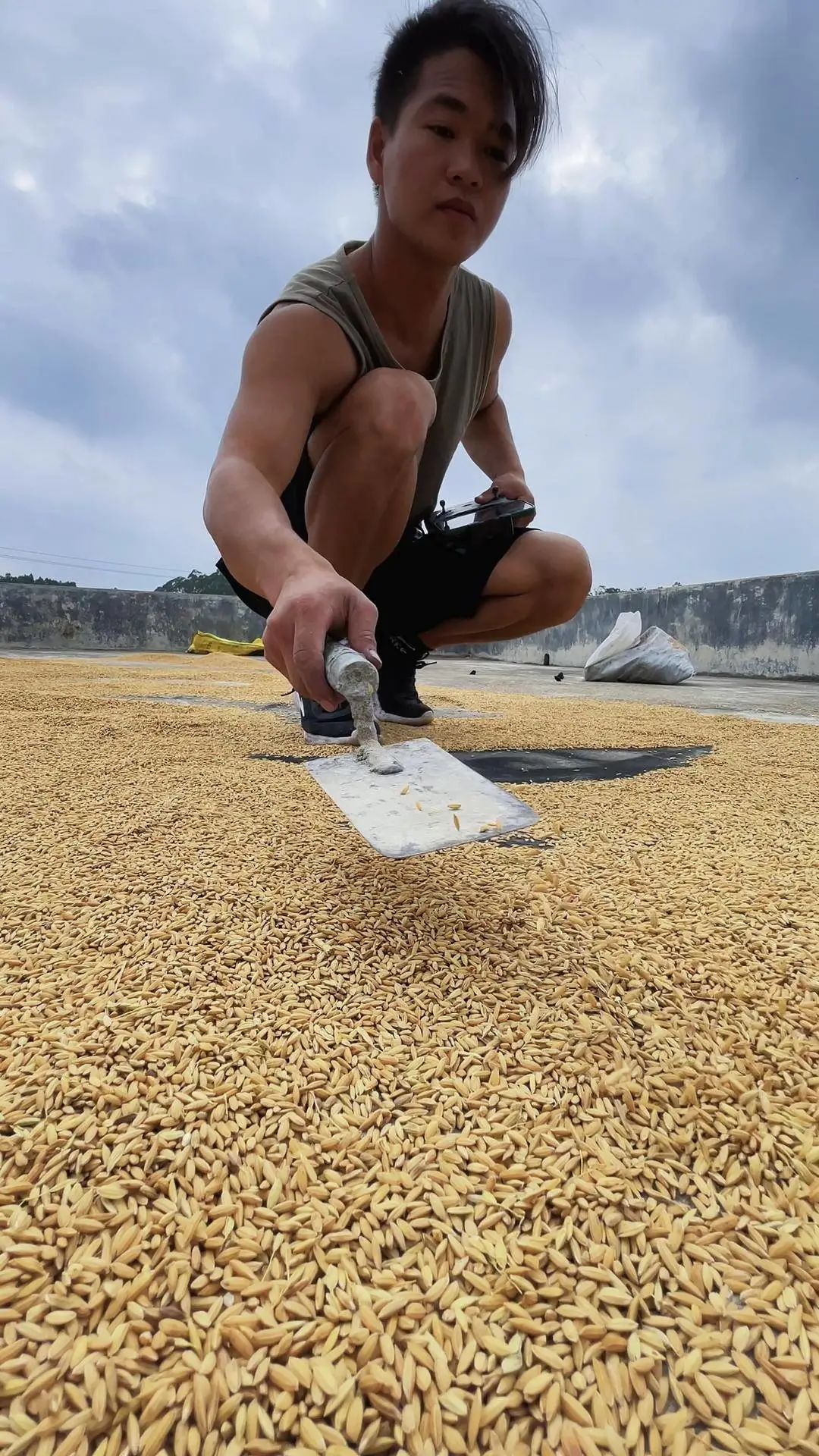 小伙用水稻"画"出袁隆平:这是我作为农民的缅怀方式