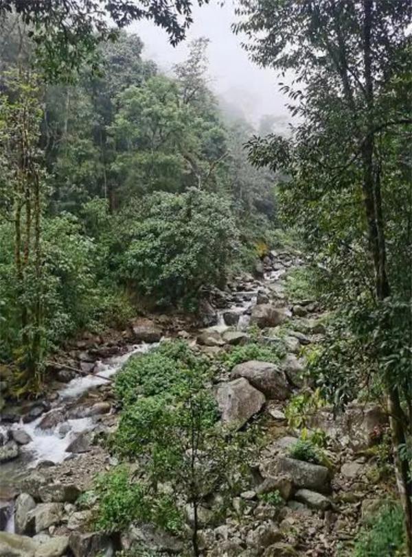 遇难地质人员进山为何穿一次性雨衣？专家称在野外根本没法使用休闲区蓝鸢梦想 - Www.slyday.coM