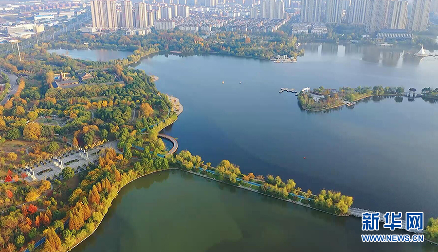 初冬时节,位于安徽省芜湖市湾沚区的东湖公园碧水清波,草木葱茏.