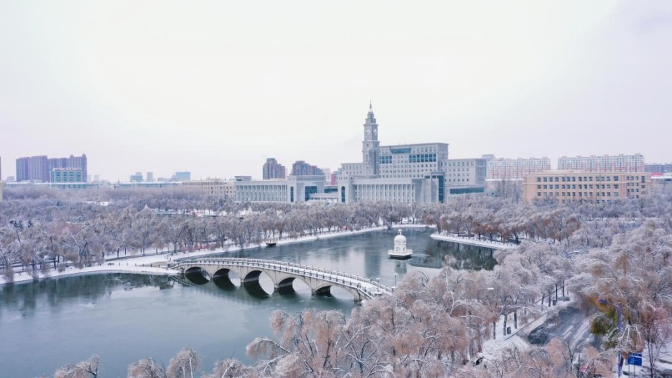雪落象牙塔哈师大冰天雪地换新颜