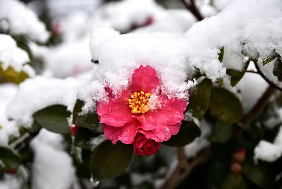 【新闻早餐】※快来贡献你的创意！汪清旅游征集LOGO※本轮寒潮对我国的影响已经基本结束休闲区蓝鸢梦想 - Www.slyday.coM