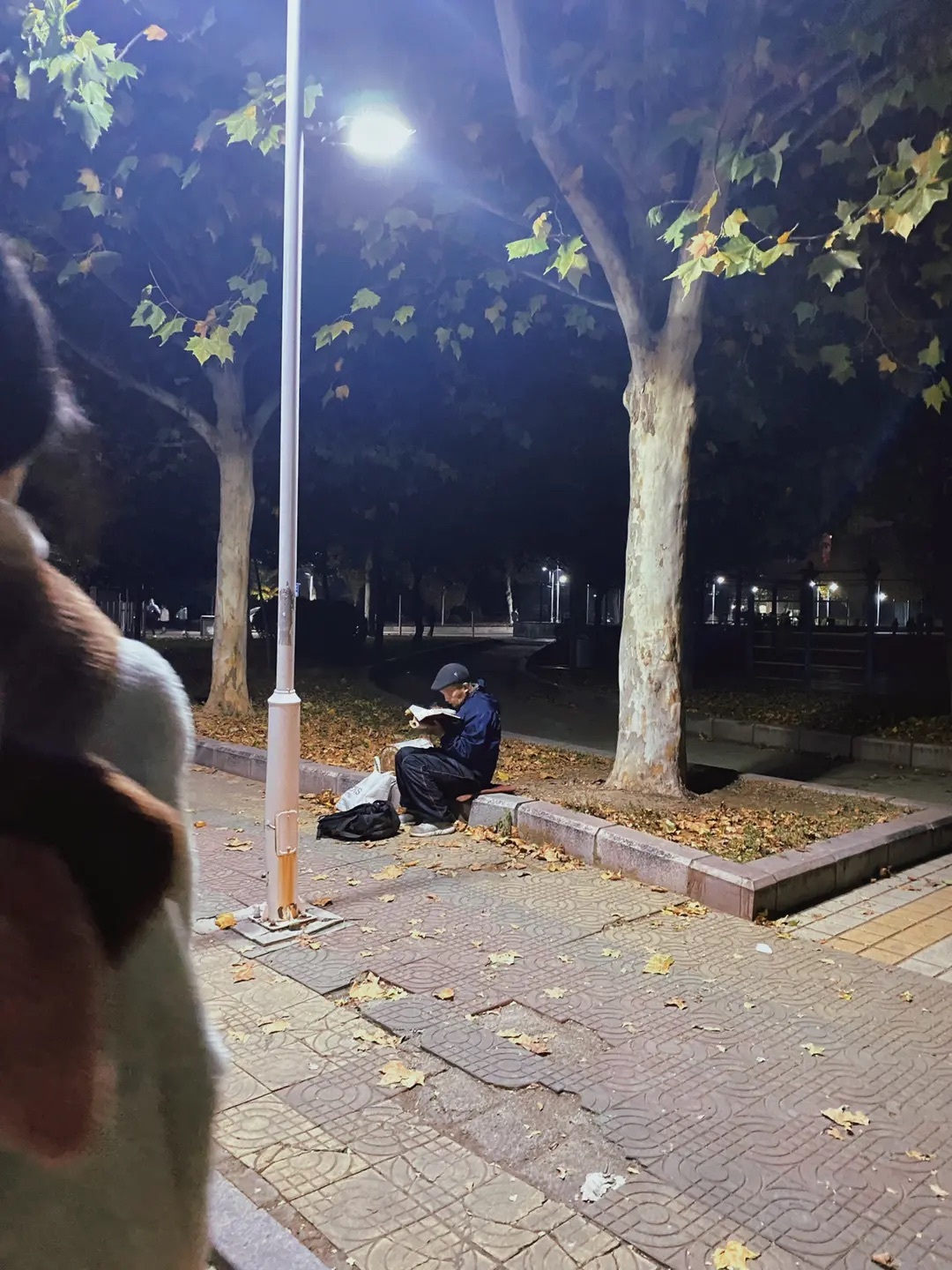 路灯下读书的老爷爷