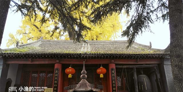 秦岭最后一抹秋色上线!这场西安年度压轴"绝色",小众且惊艳