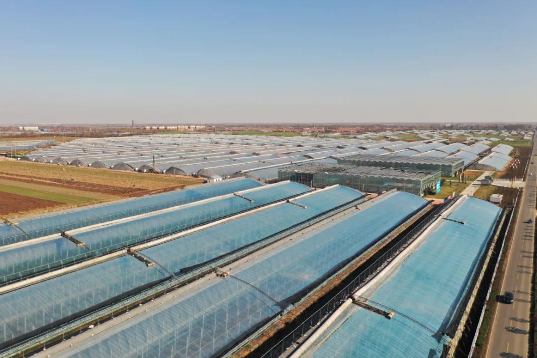 寿光国际网站建设效果的简单介绍