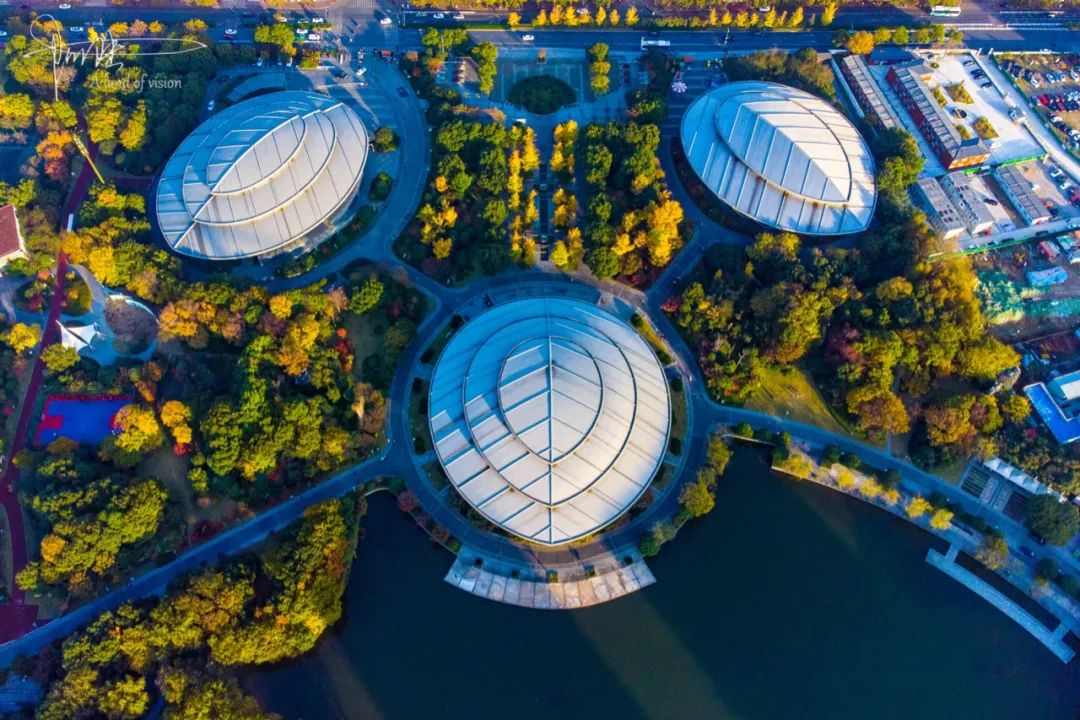 航拍这个投资10亿的体育公园发现三片脉络清晰的树叶