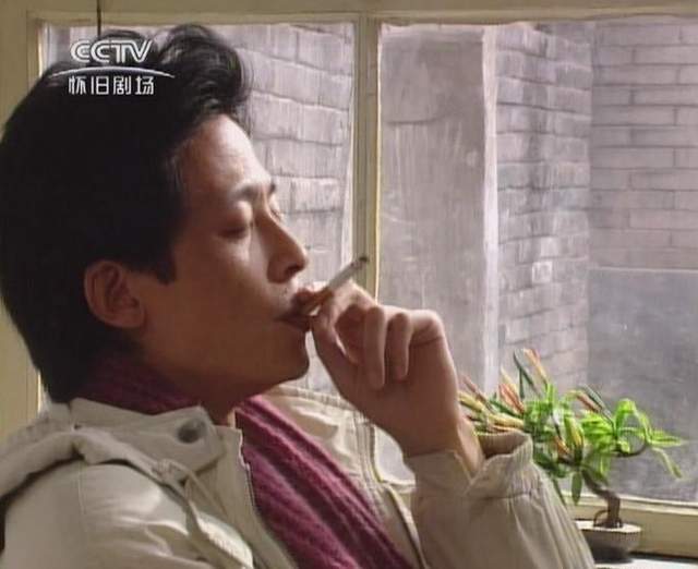 中国首部言情偶像剧过把瘾今天仍有人觉得王志文江珊是一对