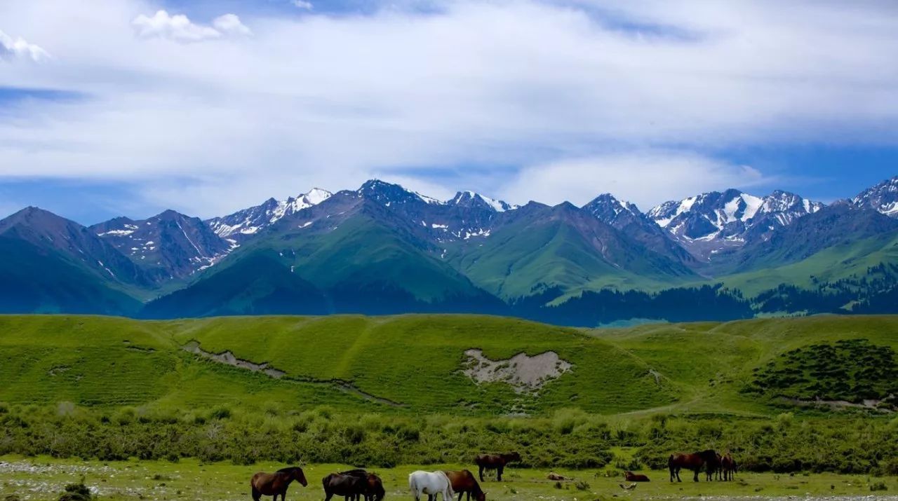 厉害,这102所高校!得到网友们点赞!休闲区蓝鸢梦想 - Www.slyday.coM 厉害,这102所高校!得到网友们点赞!休闲区蓝鸢梦想 - Www.slyday.coM