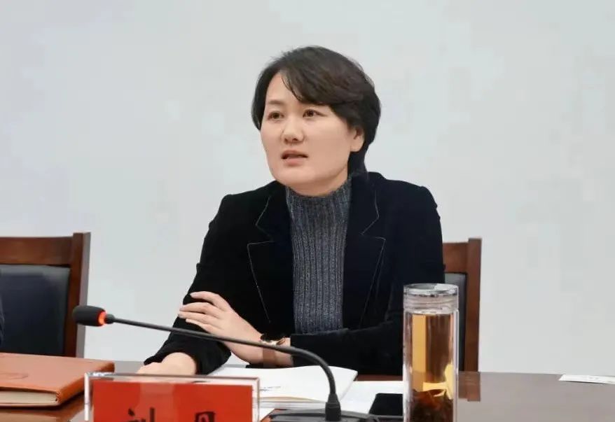 区长刘丹会见恒盛智谷股份有限公司董事长冯旭升一行