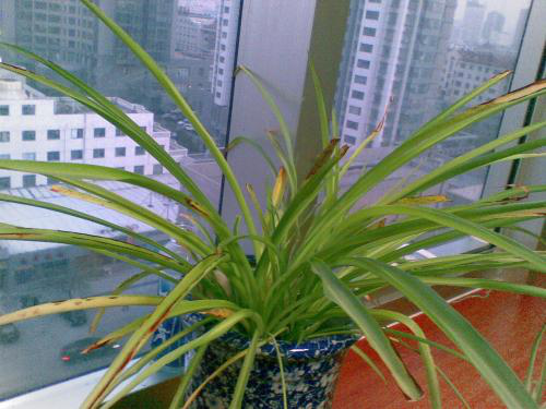 专家警告:家里常有2种情况别马虎,可能是甲醛在作怪,当心生病休闲区蓝鸢梦想 - Www.slyday.coM 专家警告:家里常有2种情况别马虎,可能是甲醛在作怪,当心生病休闲区蓝鸢梦想 - Www.slyday.coM