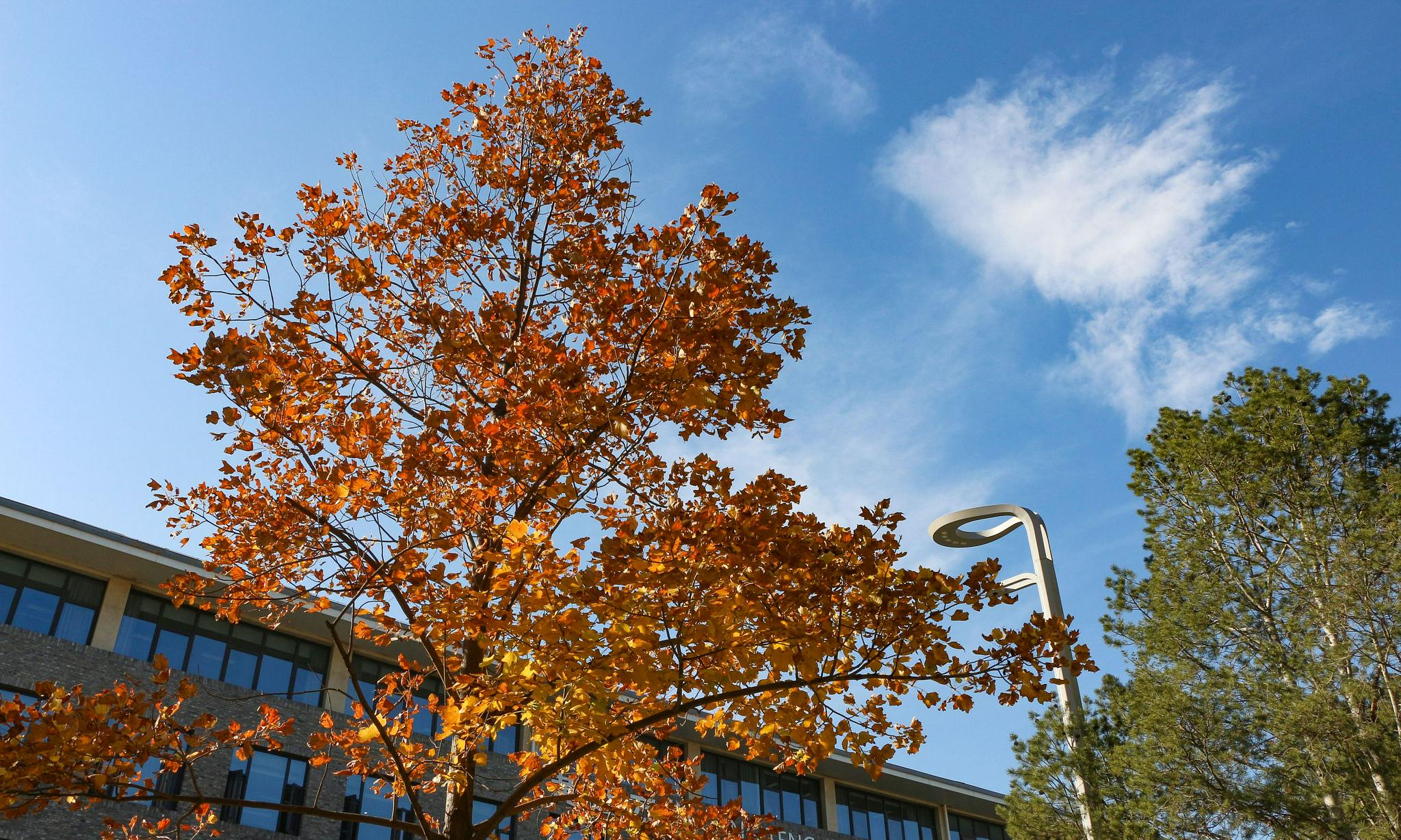 厉害,这102所高校!得到网友们点赞!休闲区蓝鸢梦想 - Www.slyday.coM 厉害,这102所高校!得到网友们点赞!休闲区蓝鸢梦想 - Www.slyday.coM