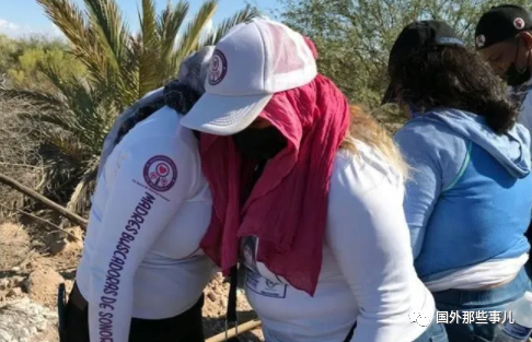 墨西哥女子寻找失踪儿子在小镇郊外挖出20多具尸骨