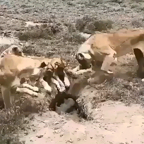 每日一笑：​男扮女装在女厕偷拍被抓…手机里发现大量偷拍照片！休闲区蓝鸢梦想 - Www.slyday.coM