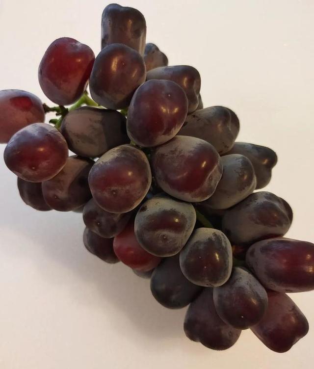 日本的富士之辉葡萄