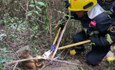 南国法援丨夫妻离婚后，男方名下的房产能分给孩子吗？休闲区蓝鸢梦想 - Www.slyday.coM