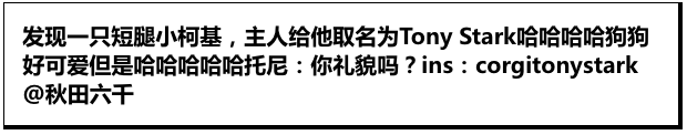 它怎么长得和一般柯基不像啊！也太矮了呢宝贝！