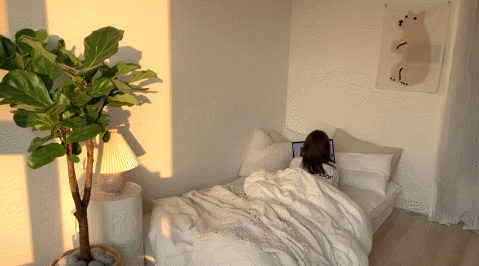 一年搬家4次20岁韩国女生独居生活引热议一个人住就是爽