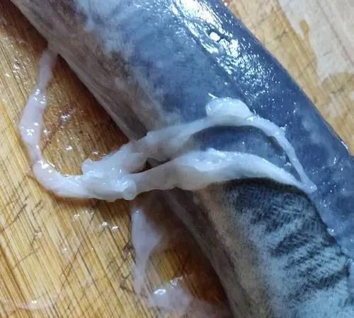 老广|鳗鱼|豆豉_新浪新闻