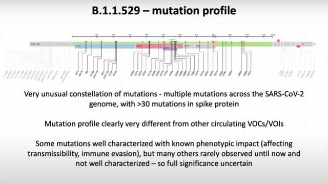 南非最新发现的新冠变异毒株，世卫组织为何紧急开会讨论应对休闲区蓝鸢梦想 - Www.slyday.coM