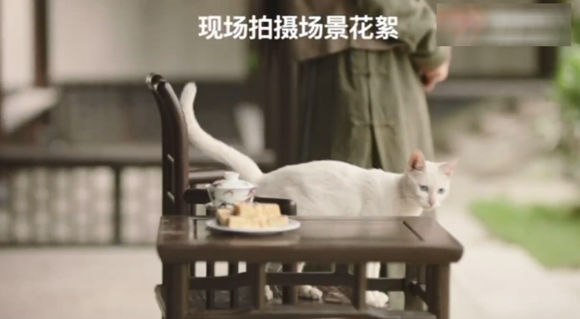 网友声讨《当家主母》毒死猫，剧组辟谣惹争议，却被扒出P图回应休闲区蓝鸢梦想 - Www.slyday.coM