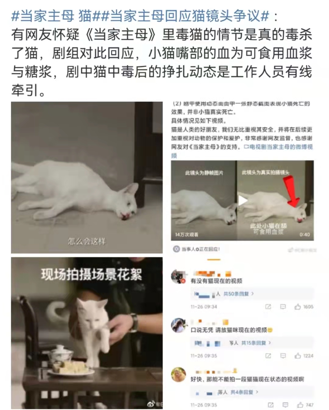 网友声讨《当家主母》毒死猫，剧组辟谣惹争议，却被扒出P图回应休闲区蓝鸢梦想 - Www.slyday.coM