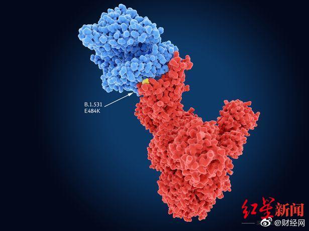 新变异株突变数量是德尔塔2倍！新型变异株或由艾滋患者体内进化而来休闲区蓝鸢梦想 - Www.slyday.coM