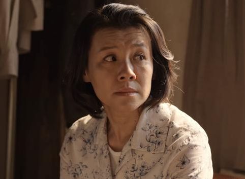 马伊琍又有大女主剧官宣,主演阵容豪华到不行,目测又是经典爆款休闲区蓝鸢梦想 - Www.slyday.coM 马伊琍又有大女主剧官宣,主演阵容豪华到不行,目测又是经典爆款休闲区蓝鸢梦想 - Www.slyday.coM