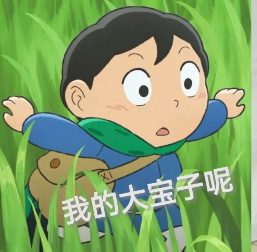 咱就是说谁还没看国王排名谁还没用上我们波吉表情包