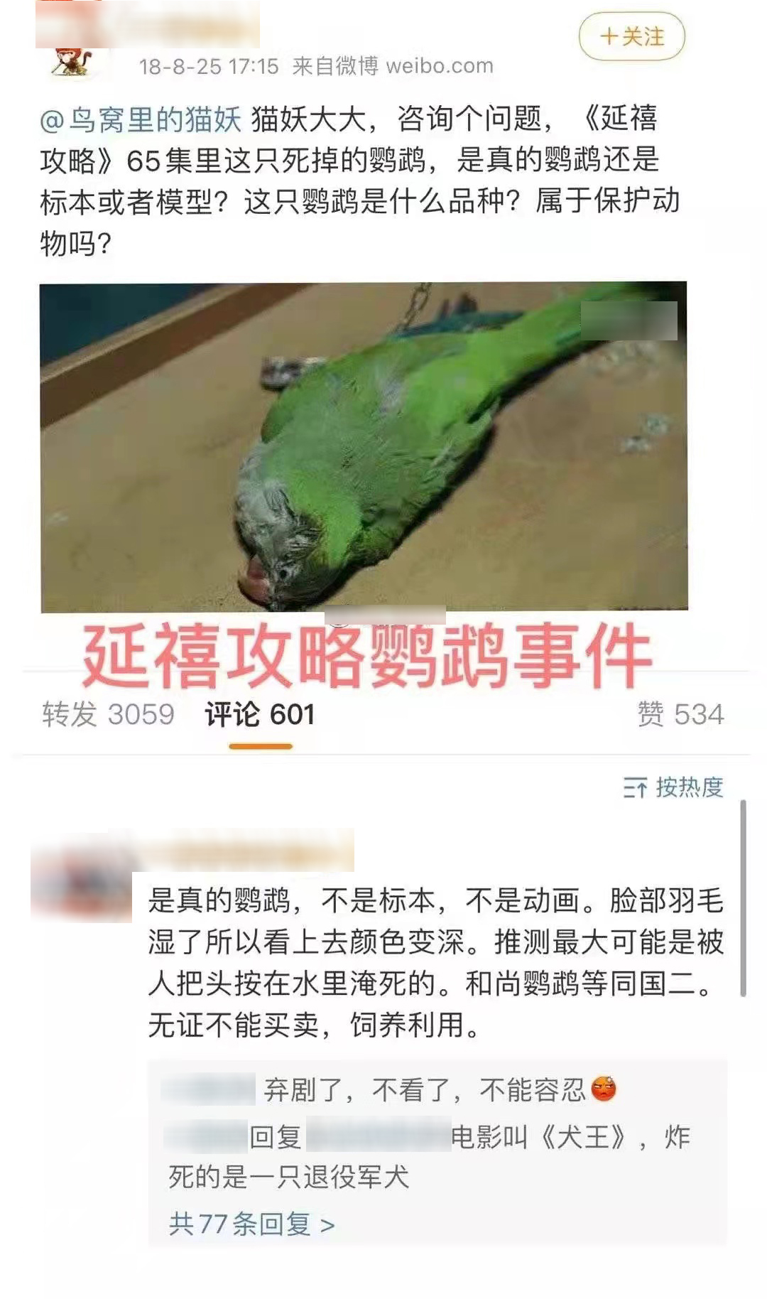 网友声讨《当家主母》毒死猫，剧组辟谣惹争议，却被扒出P图回应休闲区蓝鸢梦想 - Www.slyday.coM