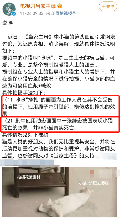 网友声讨《当家主母》毒死猫，剧组辟谣惹争议，却被扒出P图回应休闲区蓝鸢梦想 - Www.slyday.coM