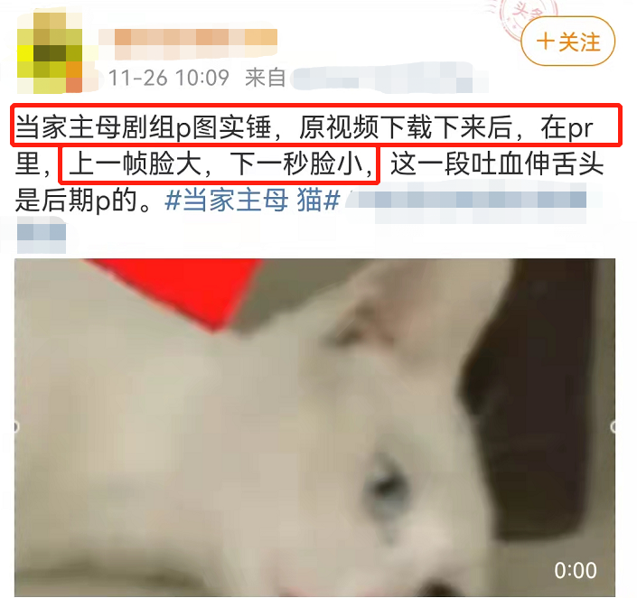 网友声讨《当家主母》毒死猫，剧组辟谣惹争议，却被扒出P图回应休闲区蓝鸢梦想 - Www.slyday.coM