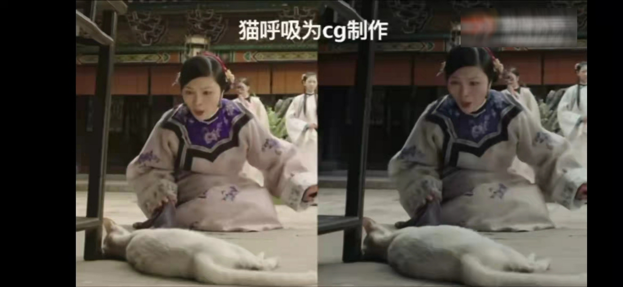 网友声讨《当家主母》毒死猫，剧组辟谣惹争议，却被扒出P图回应休闲区蓝鸢梦想 - Www.slyday.coM