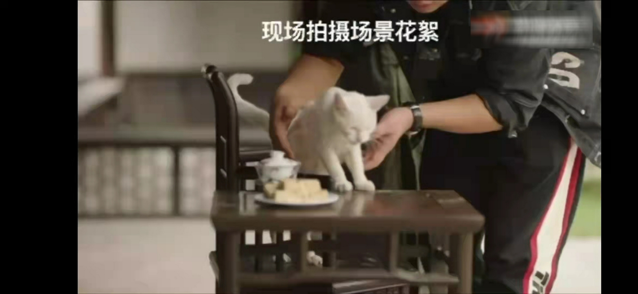 网友声讨《当家主母》毒死猫，剧组辟谣惹争议，却被扒出P图回应休闲区蓝鸢梦想 - Www.slyday.coM