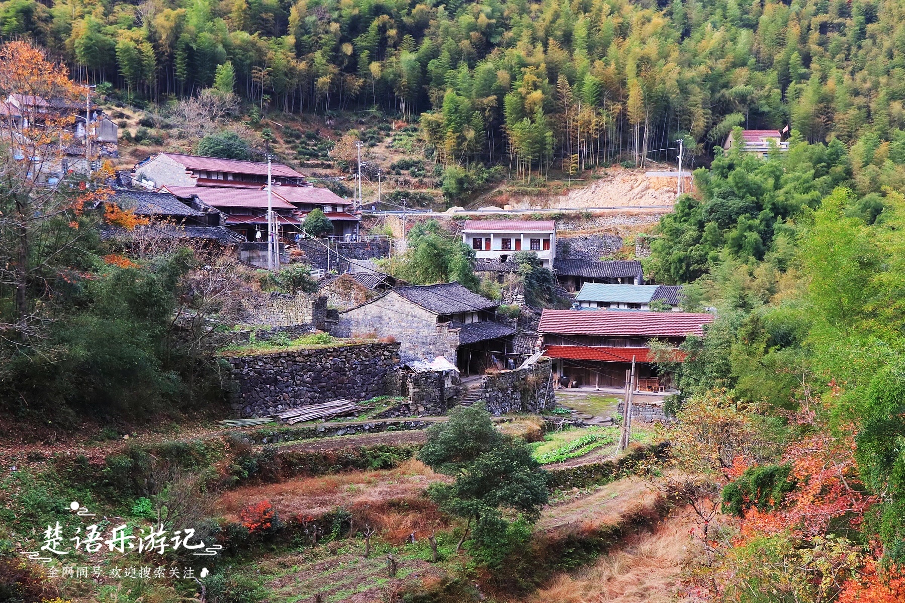 村名带"坑"却在山巅,景色如画百看不厌|余姚|百步岭|余姚市_新浪新闻