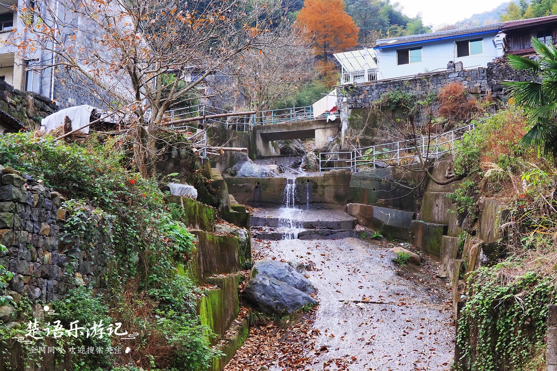余姚市又一处人间秘境，村名带“坑”却在山巅，景色如画百看不厌__财经头条