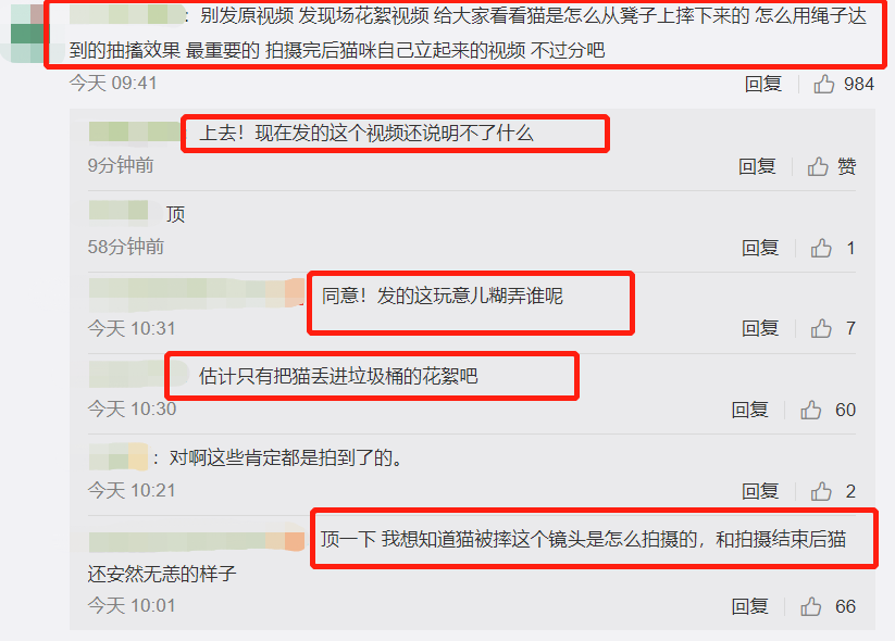 网友声讨《当家主母》毒死猫，剧组辟谣惹争议，却被扒出P图回应休闲区蓝鸢梦想 - Www.slyday.coM