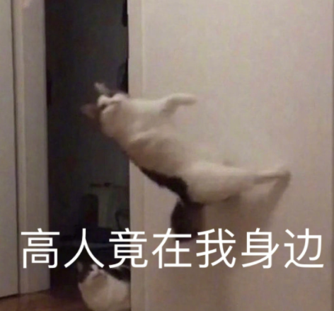 一夜之间，深圳全城都在学卤鹅？官方紧急暂停休闲区蓝鸢梦想 - Www.slyday.coM