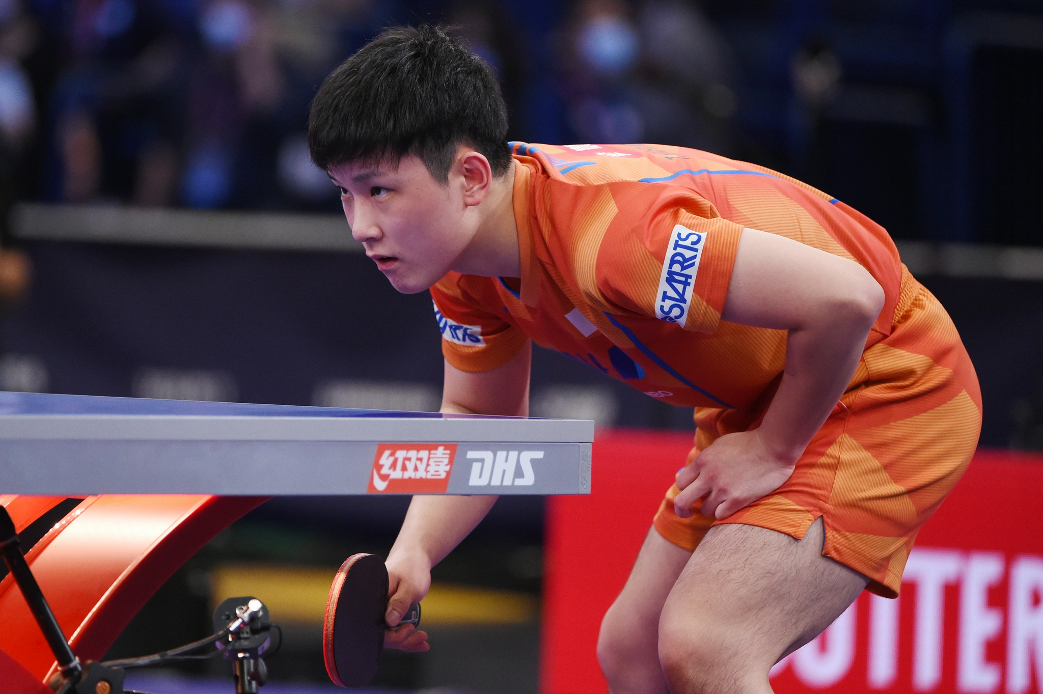 日本男乒全部出局张本智和我现在就这实力打谁都可能输