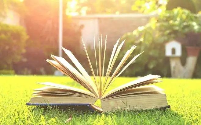 【学习十九届六中全会精神】党员教师谈感悟，全会精神共学习休闲区蓝鸢梦想 - Www.slyday.coM