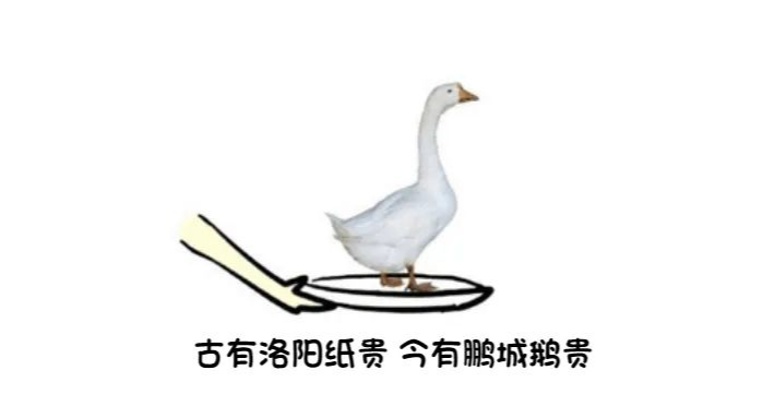 在深圳学卤鹅可以领1700元补贴？官方紧急暂停休闲区蓝鸢梦想 - Www.slyday.coM