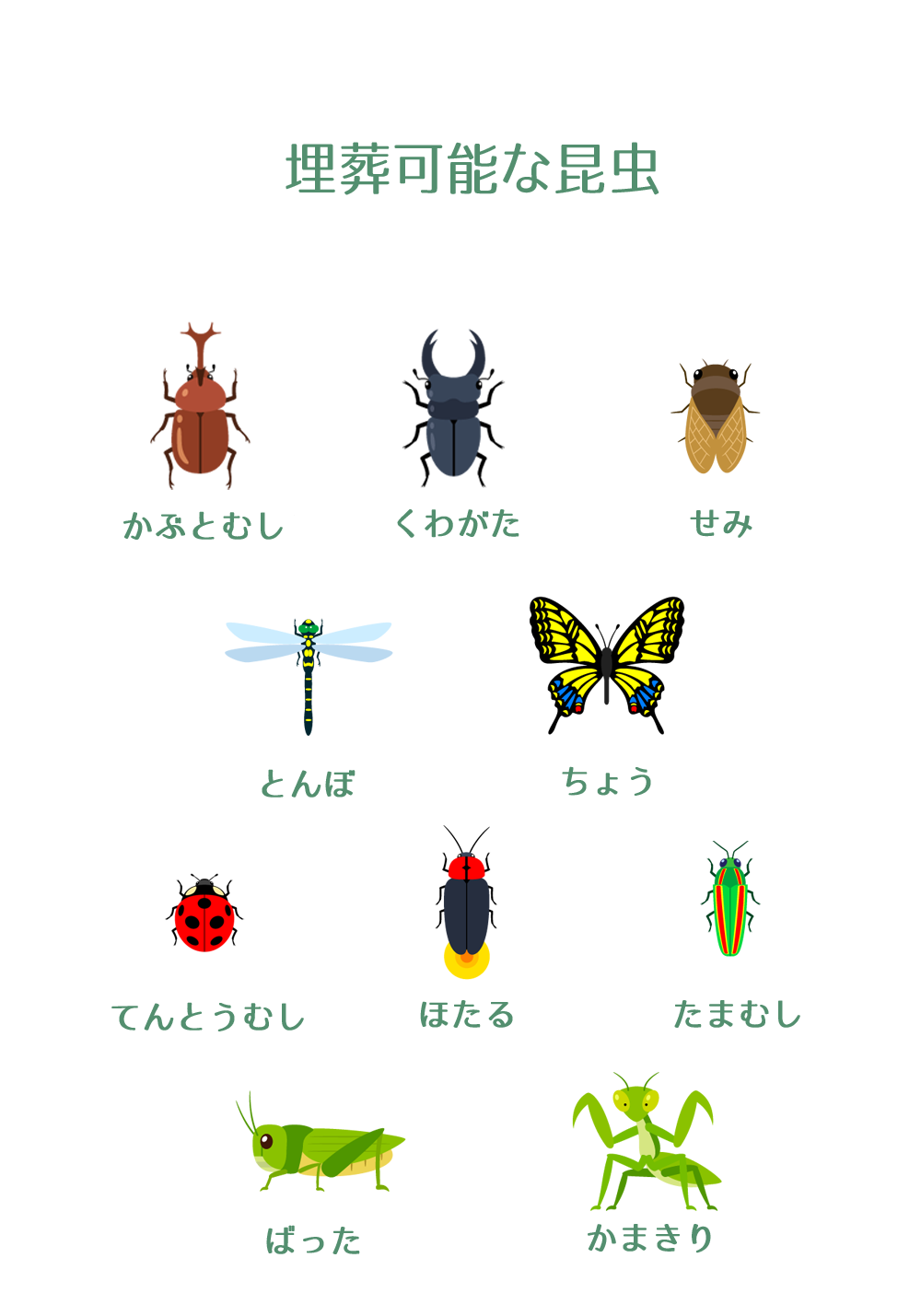 日本公司推出"昆虫殡葬服务",你会为昆虫花钱举行葬礼吗?