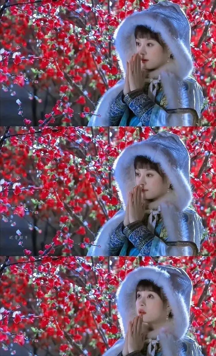 倚梅园一别之后娘娘的御寒神器升级了