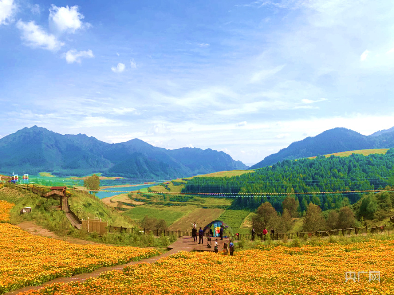 青海省海东市互助土族自治县南门峡镇磨尔沟村花海(央广网记者汪晓青