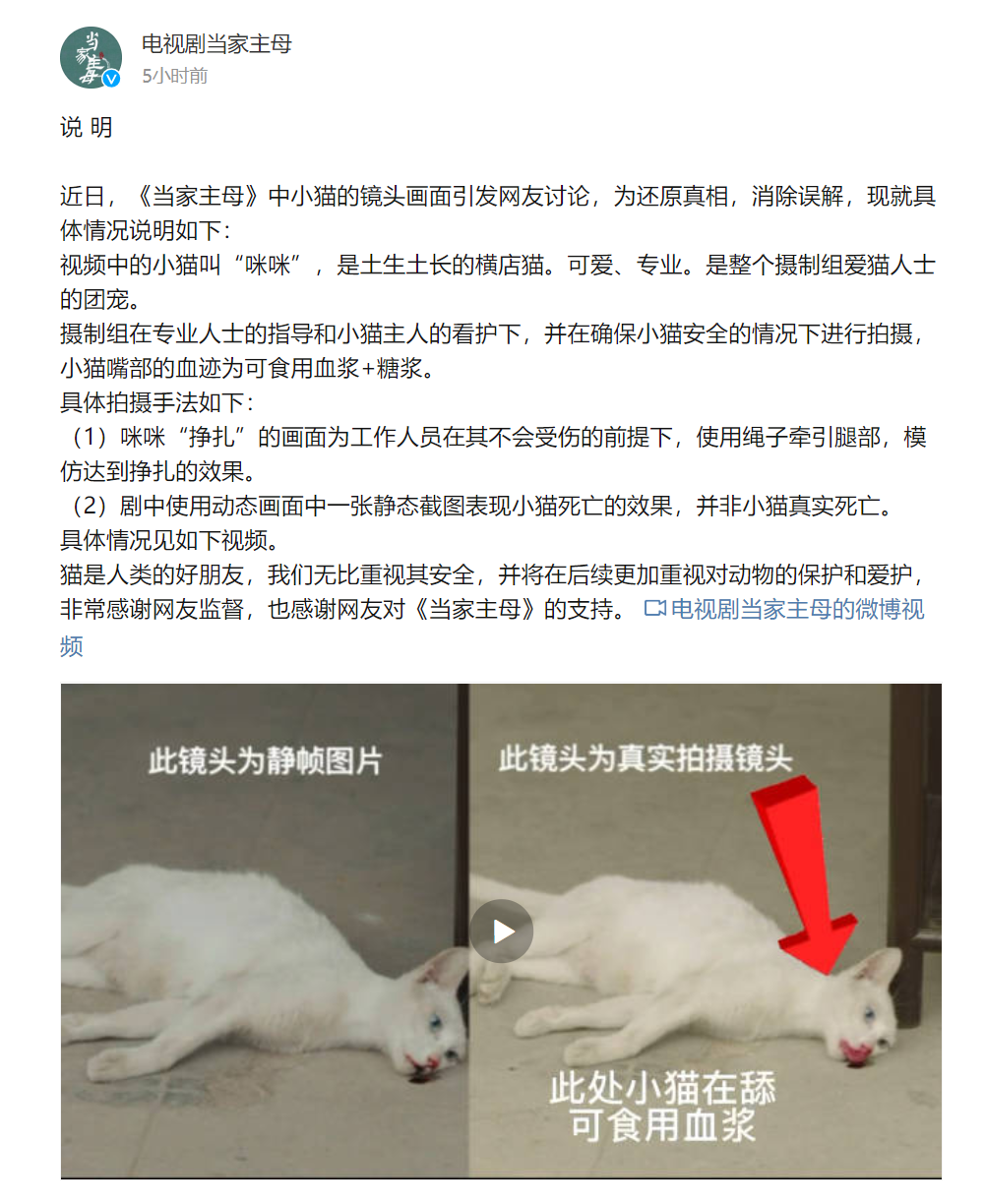 电视剧《当家主母》中小猫被重摔死亡？剧组的还原视频来了休闲区蓝鸢梦想 - Www.slyday.coM