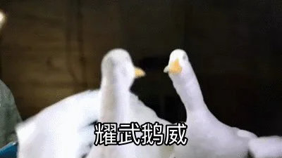 在深圳学卤鹅可以领1700元补贴？官方紧急暂停休闲区蓝鸢梦想 - Www.slyday.coM