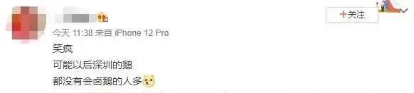 一夜之间，深圳全城都在学卤鹅？官方紧急暂停休闲区蓝鸢梦想 - Www.slyday.coM