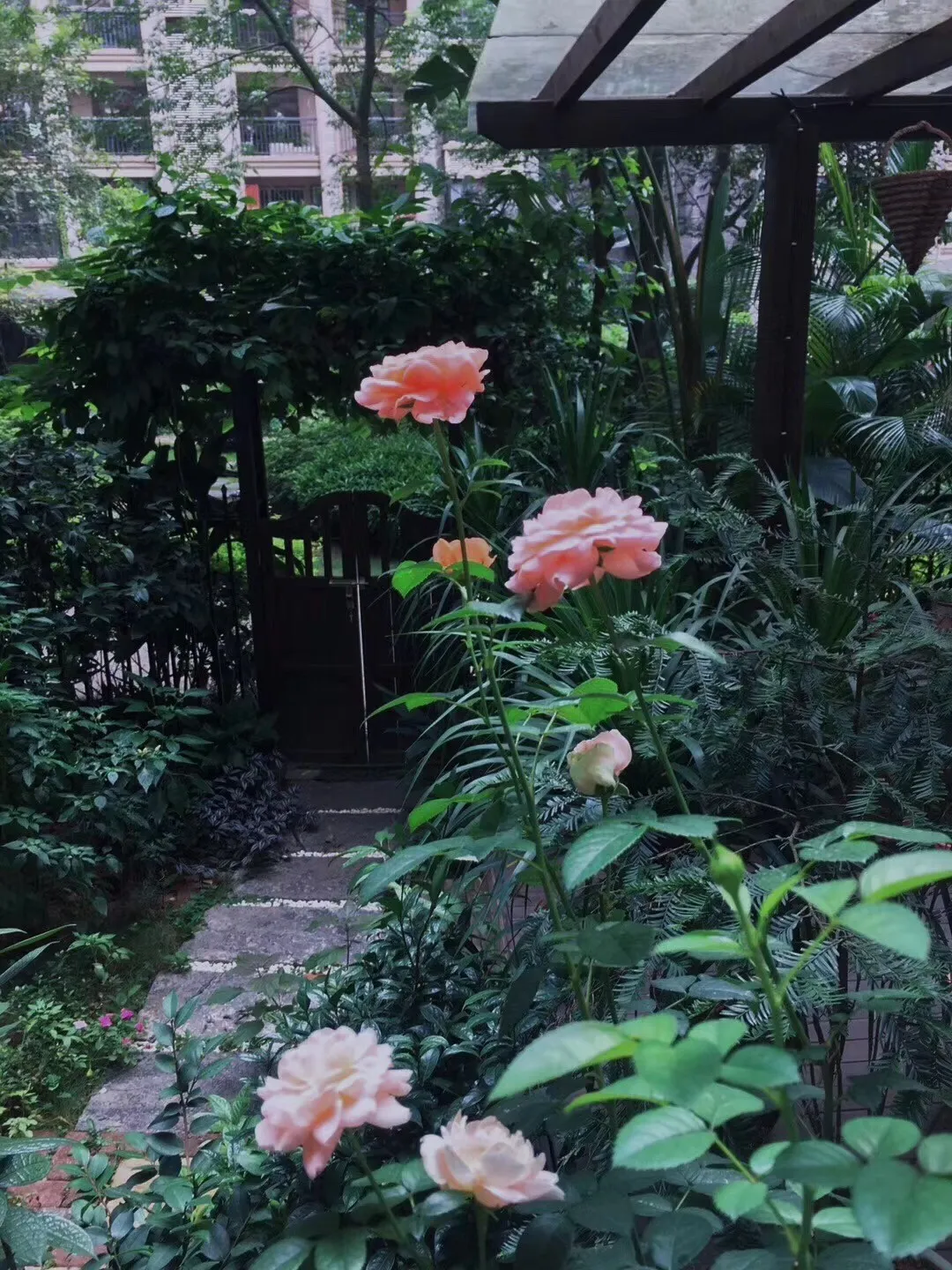 种花、种菜，和最好的姐妹做邻居，她们的都市田园生活太让人羡慕休闲区蓝鸢梦想 - Www.slyday.coM