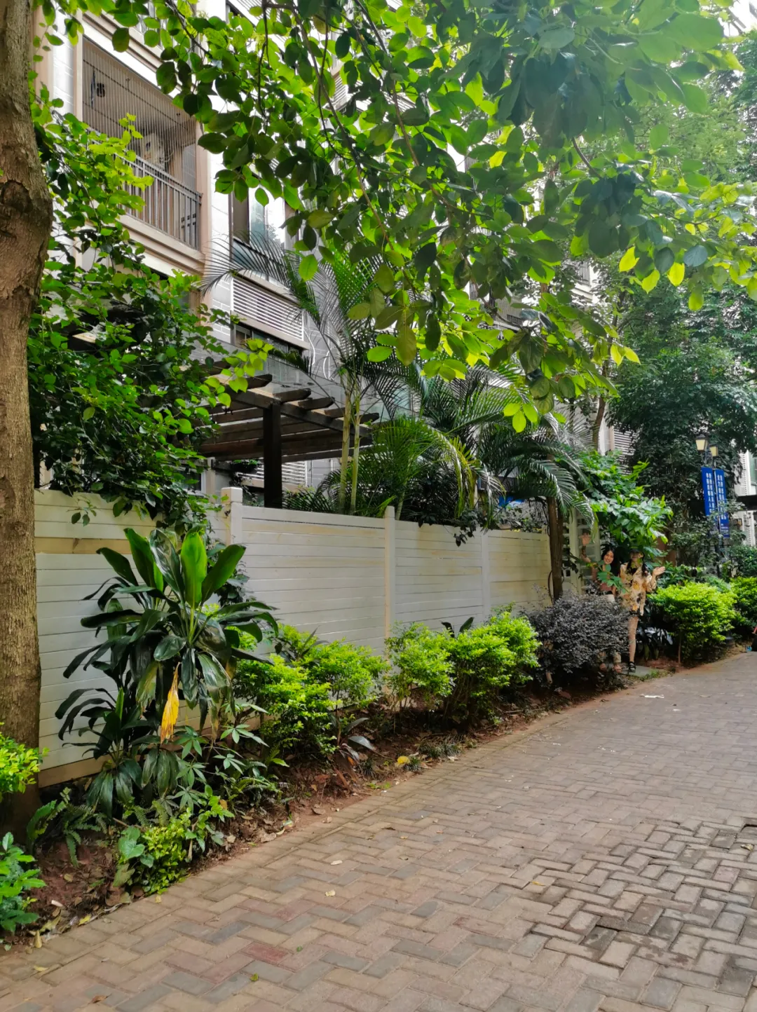 种花、种菜，和最好的姐妹做邻居，她们的都市田园生活太让人羡慕休闲区蓝鸢梦想 - Www.slyday.coM