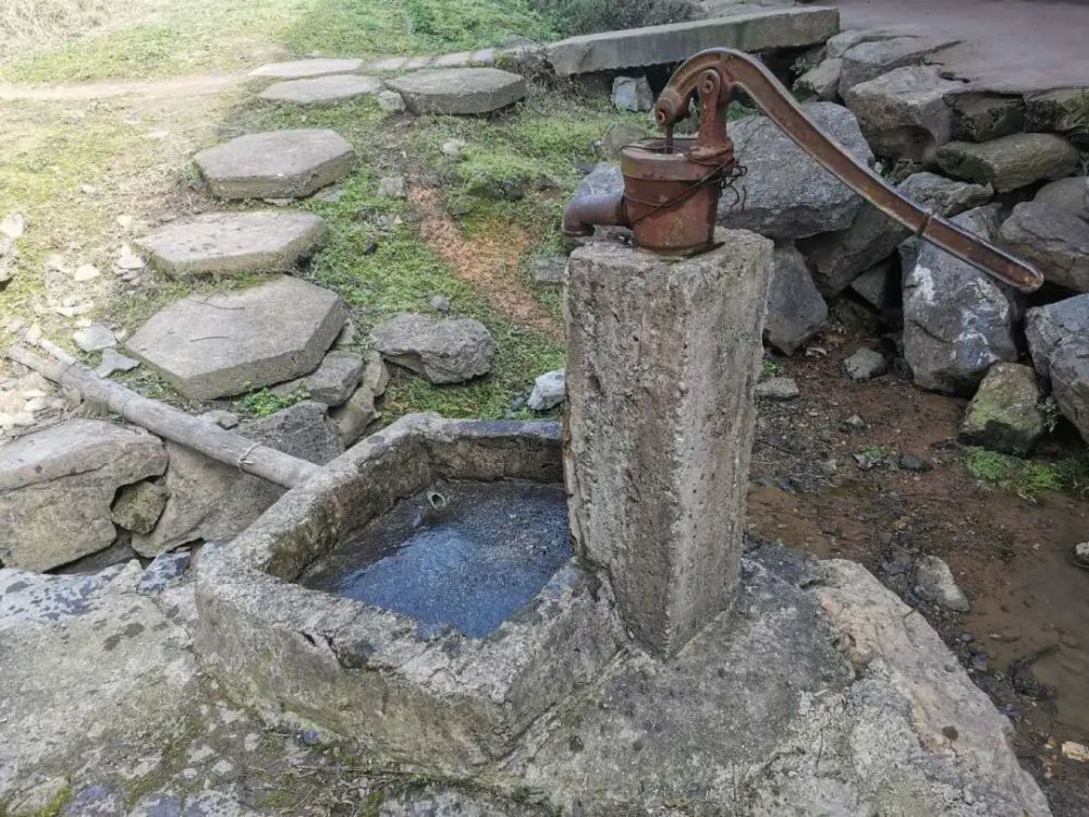 没有天然的井水,只能喝地下水,所以就每家打一口这样的压水井